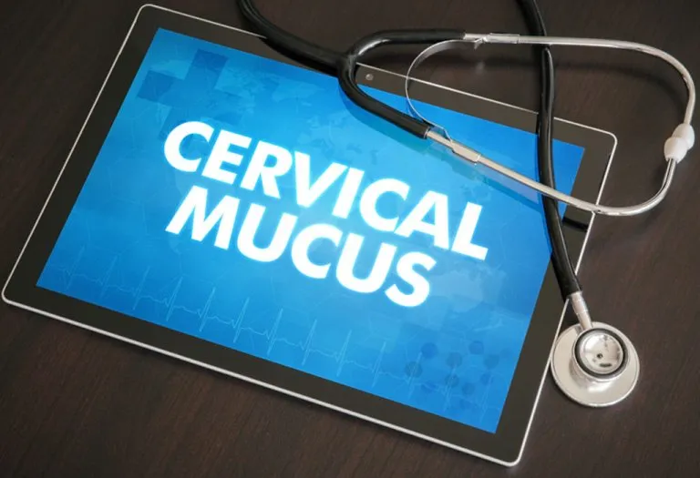 How to Increase the Fertility of Cervical Mucus?