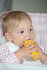 A baby eating corn