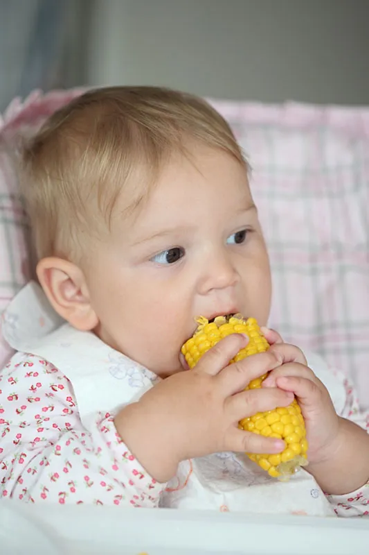 A baby eating corn A baby eating corn
