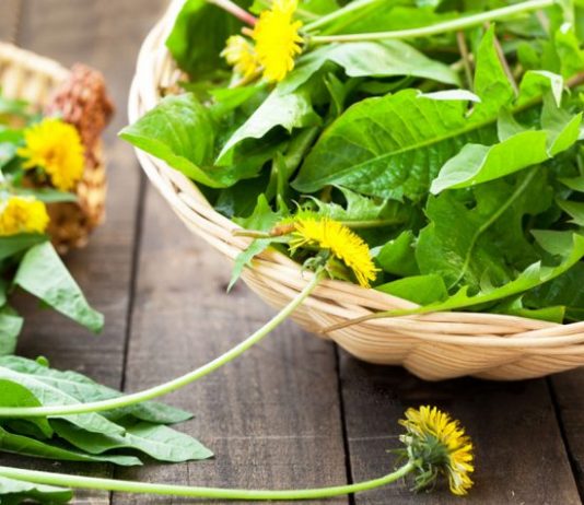 ১৫টি সহজ এবং নির্ভরযোগ্য ঘরে নিজে করার মতো (DIY) গর্ভাবস্থা পরীক্ষা