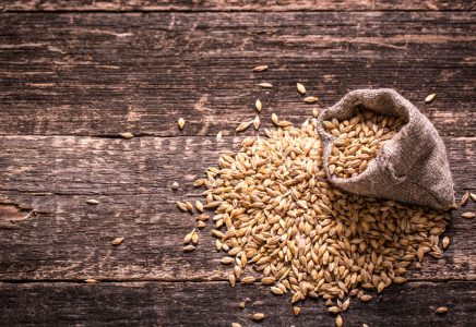 Wheat and Barley Pregnancy Test