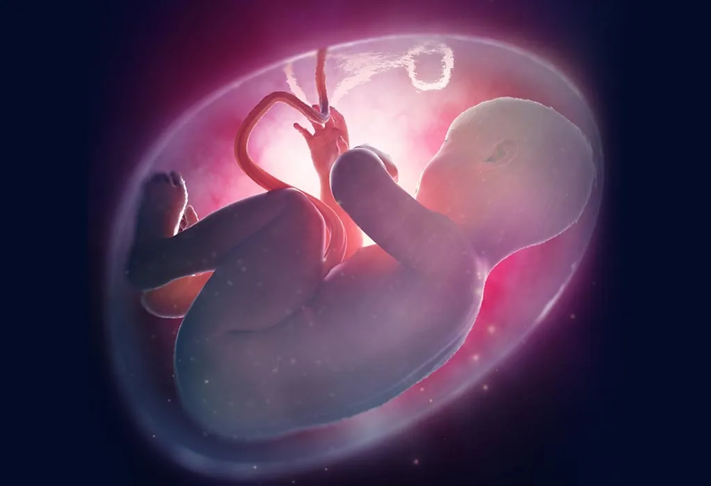 बच्चों को गर्भ में ऑक्सीजन कैसे मिलती है?