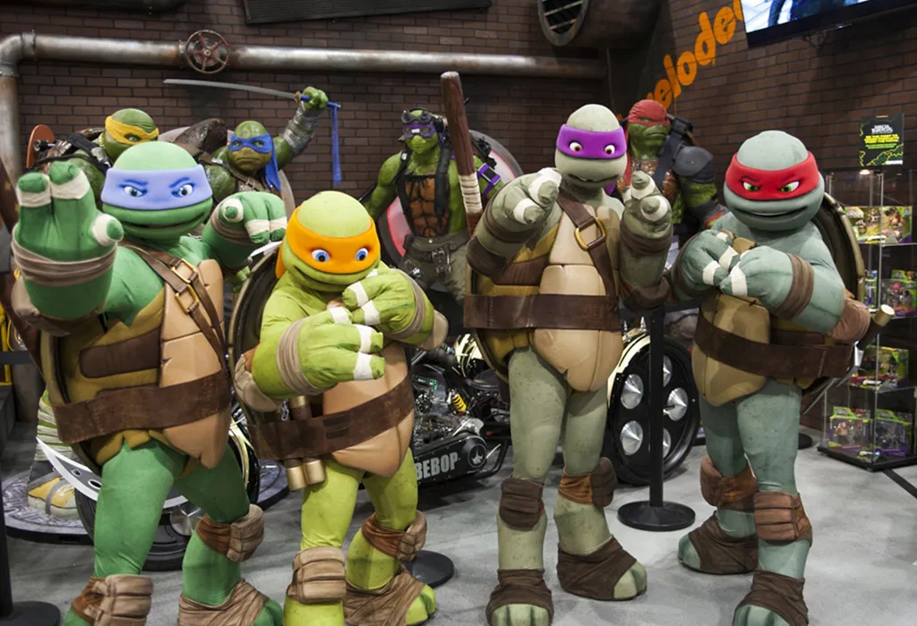 Ninja Turtles Party