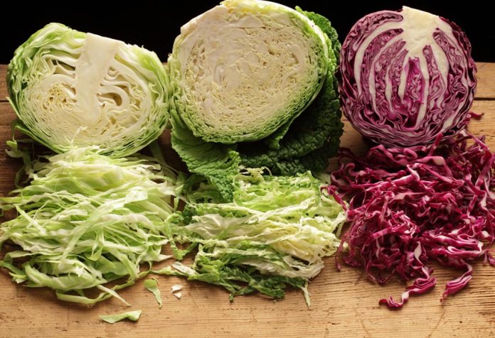 Cabbage during Pregnancy