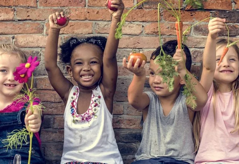 Social And Emotional Development In Children
