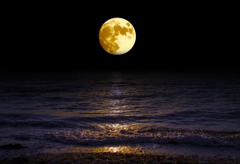 40 Interesting Moon Facts for Kids