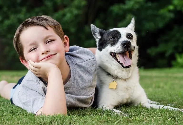50+ Fun Dog Facts For Kids