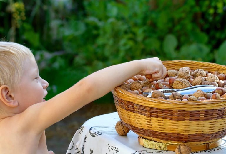 Walnuts for Babies - Health Benefits and Feeding Precautions