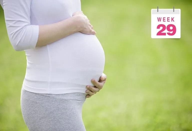 29 Weeks Pregnant - Symptoms, Baby Size, Body Changes and Care