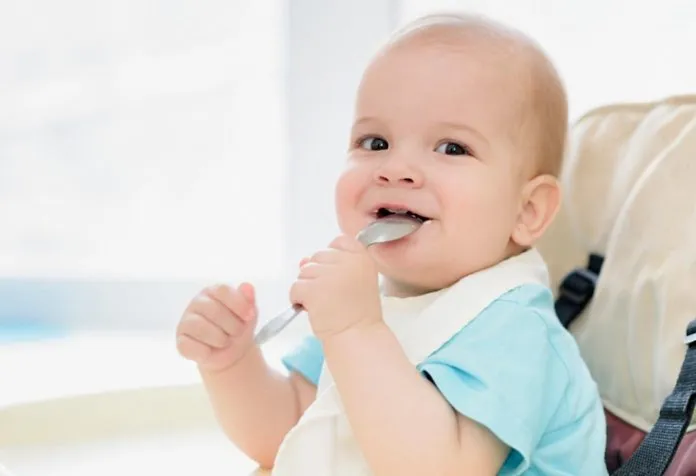 13 to 16 Month Old Baby Food Ideas