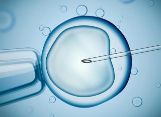 আইভিএফ সাফল্যের জন্য ১৩টি টিপস Top 10 IVF Success Tips