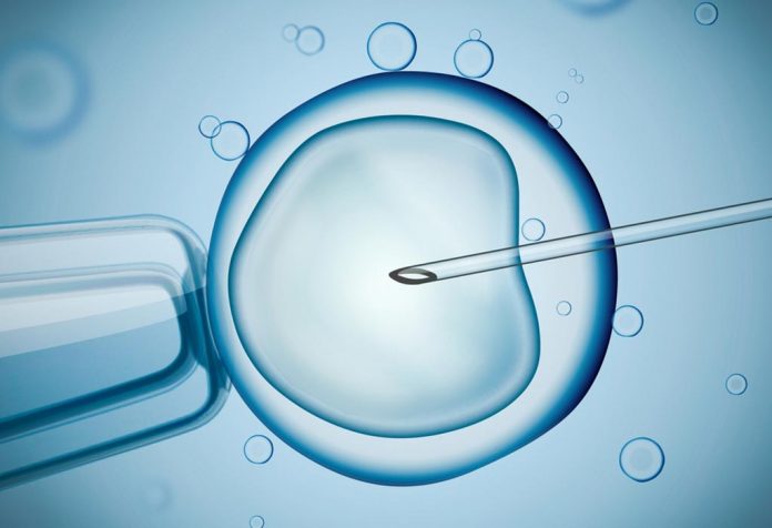 Tips for IVF Success