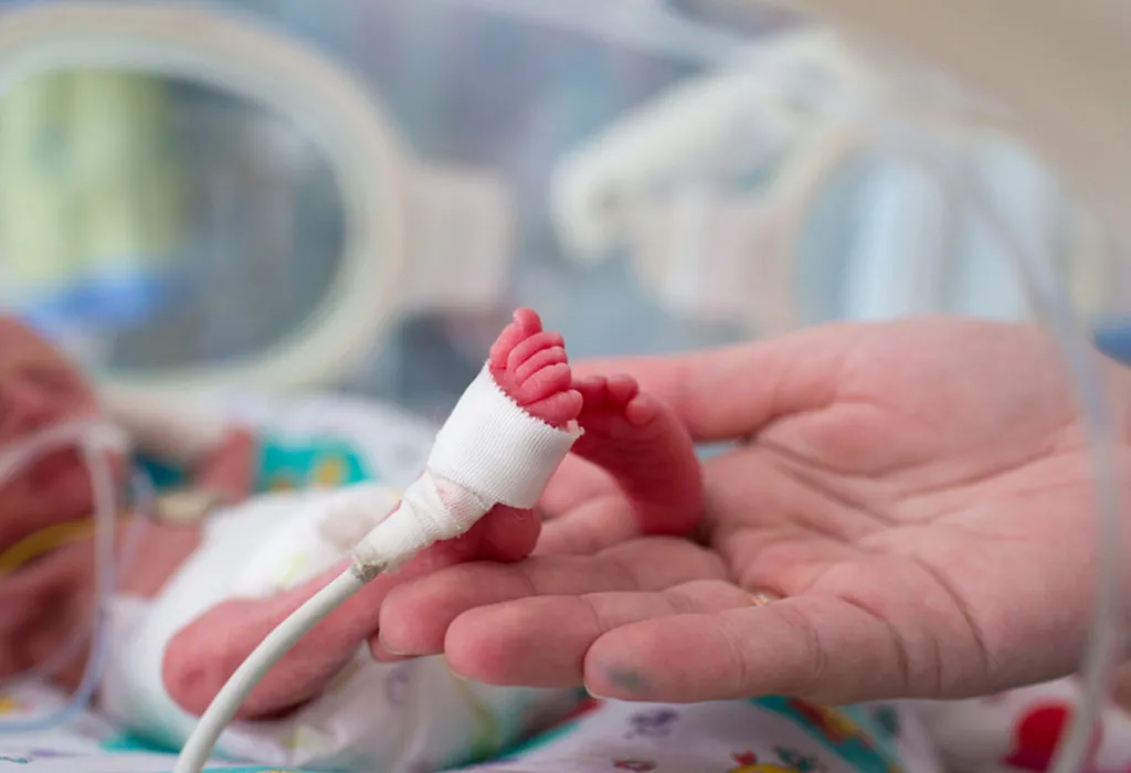 Risks During the Prenatal Period