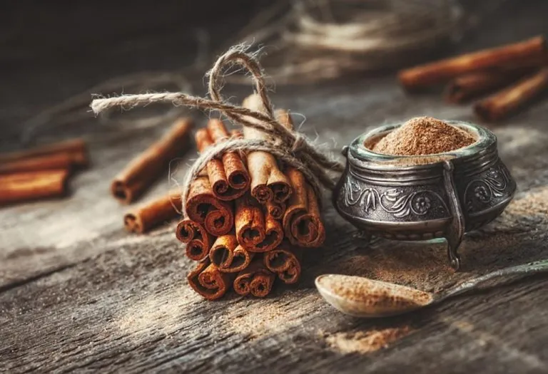 Consuming Cinnamon in Pregnancy - Benefits and Risks