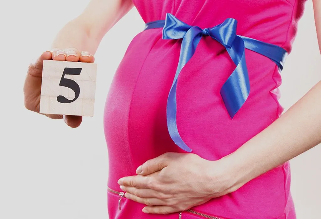 Fifth-Month of Pregnancy Diet (17-20 Weeks)