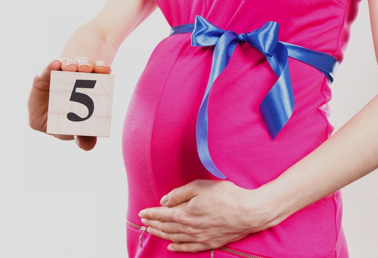 गर्भधारणेच्या पाचव्या महिन्यातील आहार (१७-२० आठवङे)