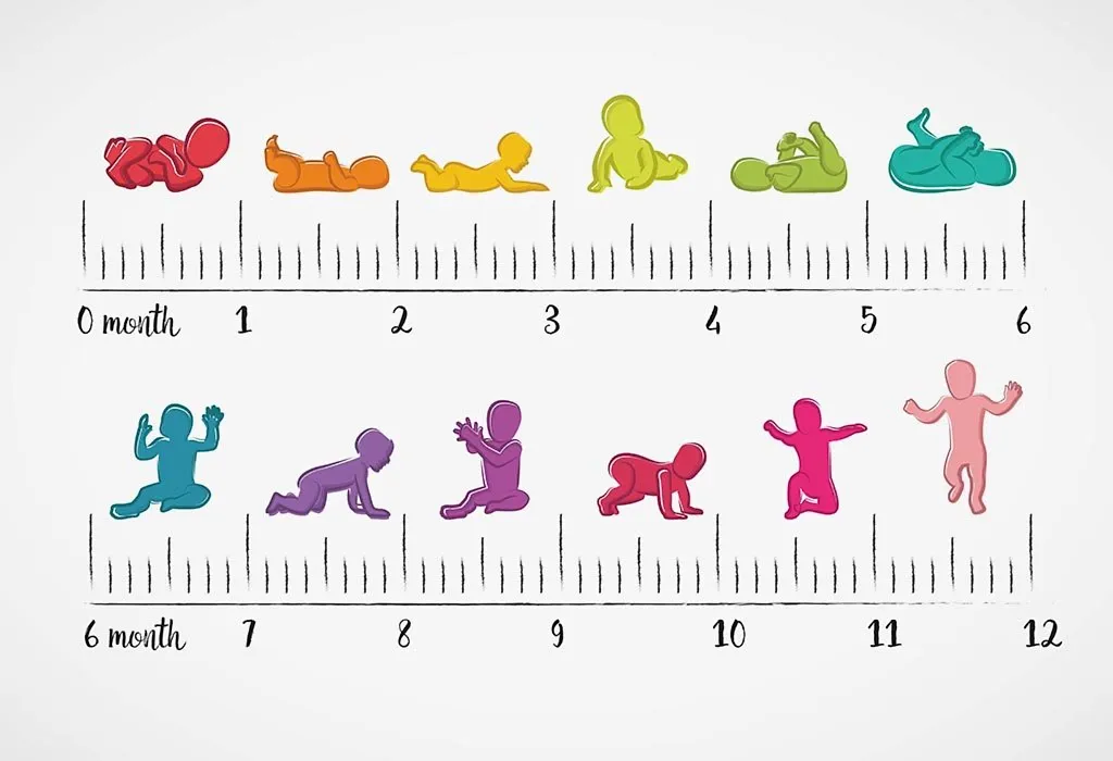 1st 12 months baby boy growth chart