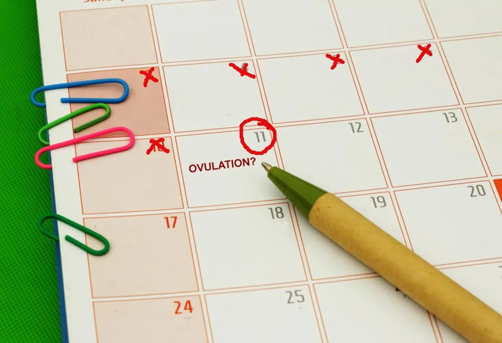 LH Surge and Ovulation: Importance, Test & Levels