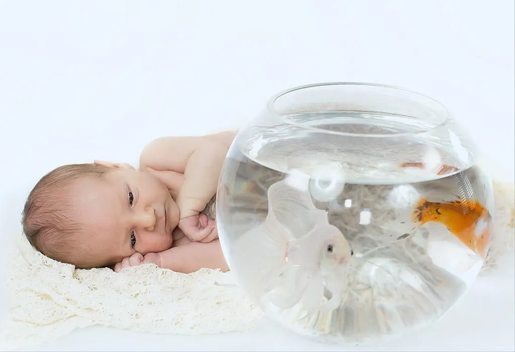 Baby watching fish
