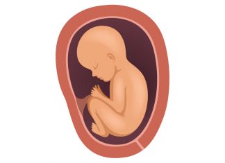 8 Months Pregnant Baby Position