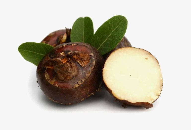 Eating Water Chestnut (Singhara Fruit) During Pregnancy - Benefits and Side-effects