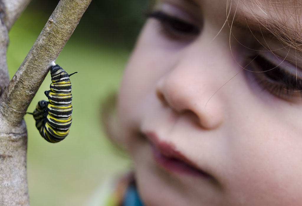 Passer beaucoup de temps à l'extérieur peut aider les enfants à établir un Lien permanent Avec la Nature