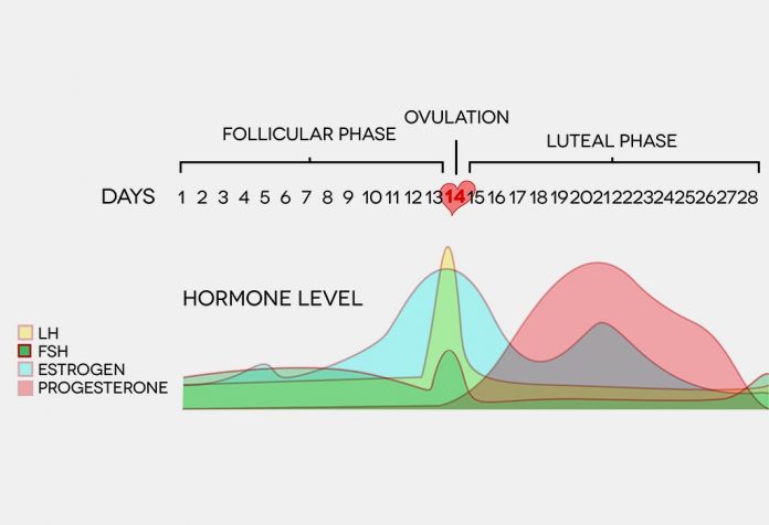 Gorgeous Can You Get Pregnant During Luteal Phase Photo Nature Gorgeous Can You Get Pregnant During Luteal Phase Photo Nature