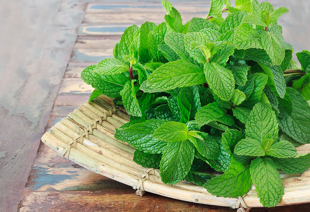 Eating Mint During Pregnancy Health Benefits Side Effects