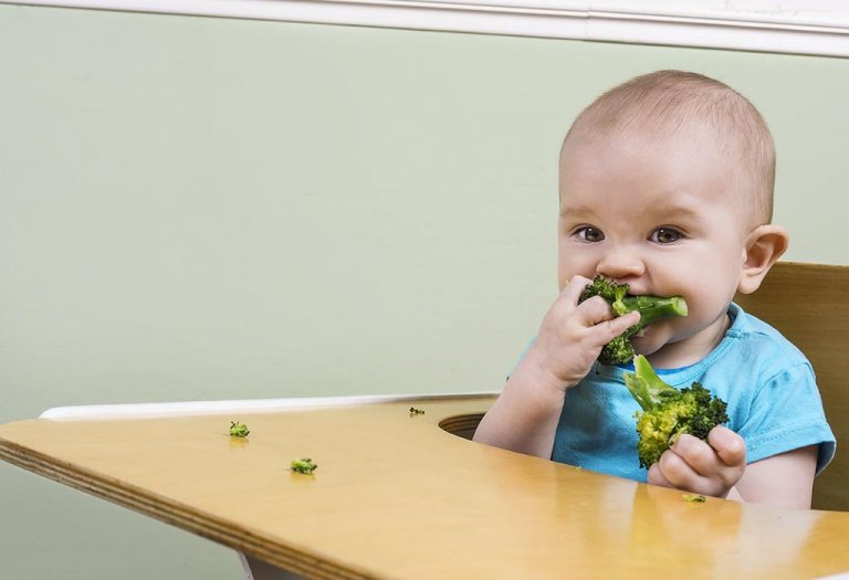 Broccoli for Babies - Benefits and Recipes