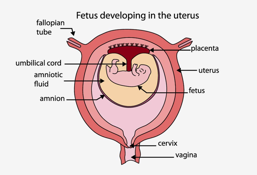 symptoms of low amniotic fluid