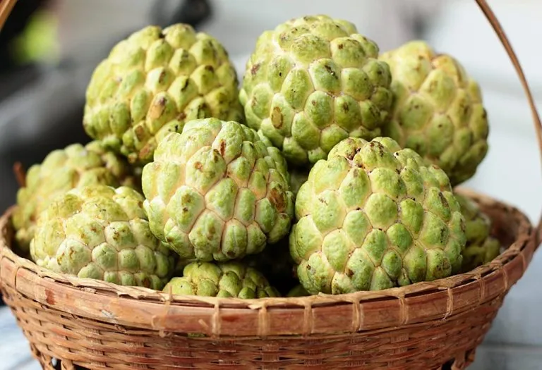 Eating Custard Apple (Sitafal) During Pregnancy