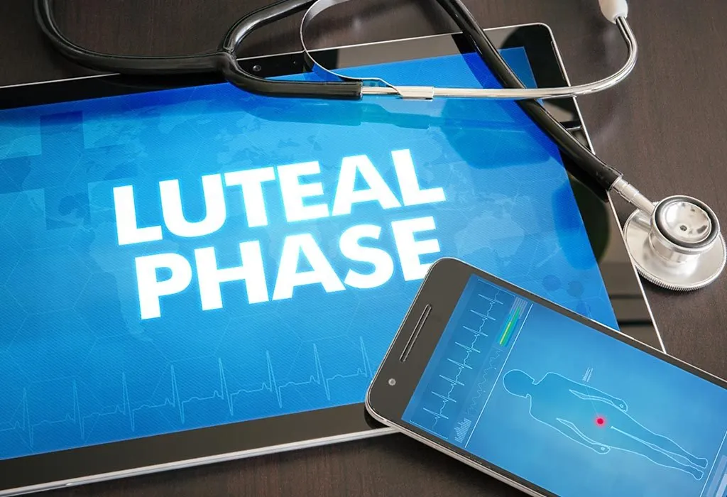 Luteal Phase – What It Is and It’s Relation to Pregnancy