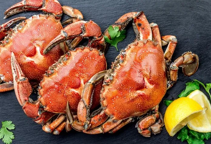 Eating Crab During Pregnancy