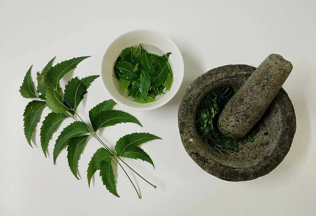 Neem Leaves
