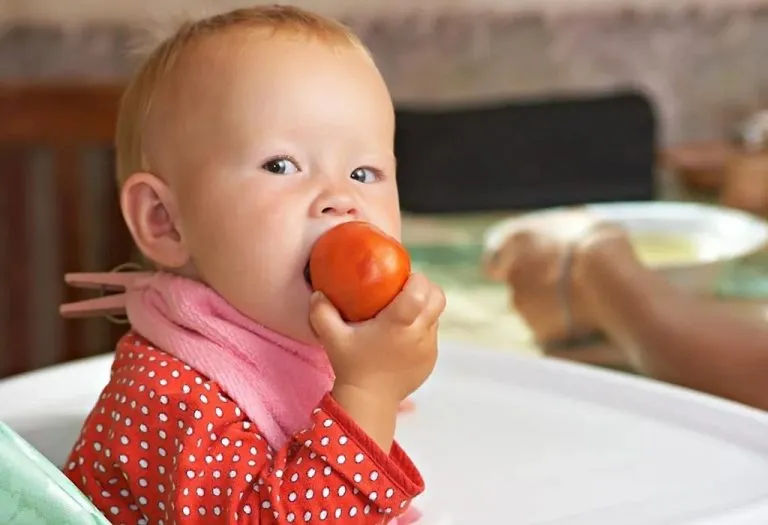 Tomatoes for Babies – When to Introduce, Benefits, Soup Recipes & More