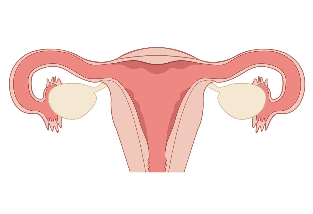Is Ovary Size Related to How Easy Or Difficult It Is to Conceive?