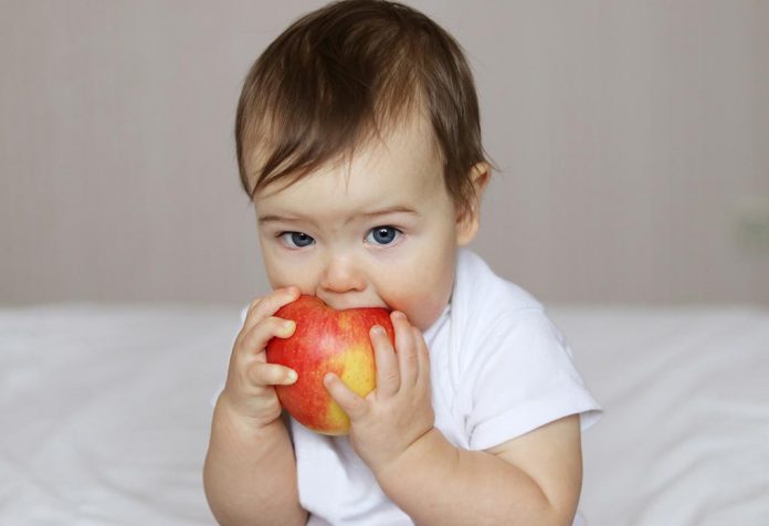 A baby holding an apple.