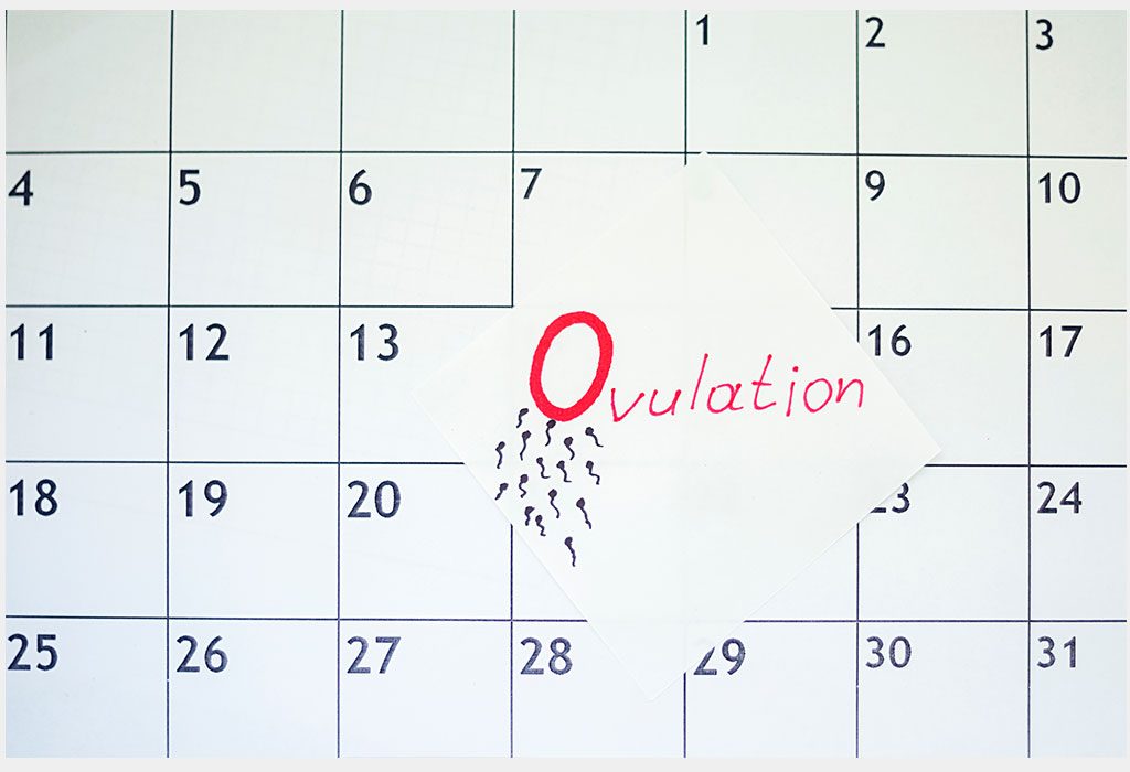 Can Women Ovulate More Than Once a Month?