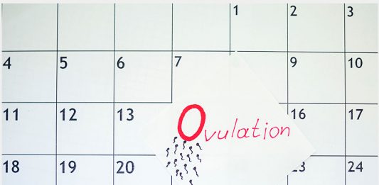 OVULATION