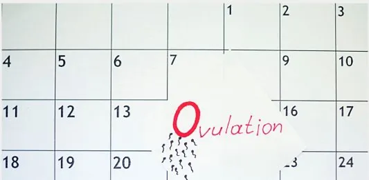 OVULATION