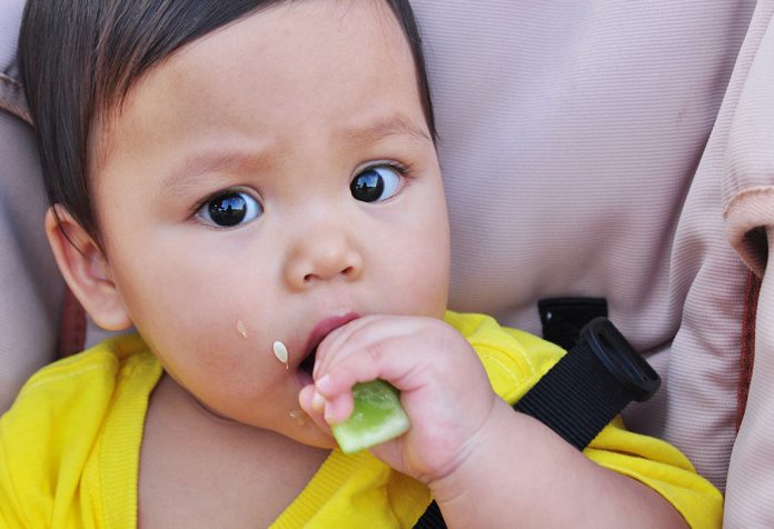 A baby eating a cucumber