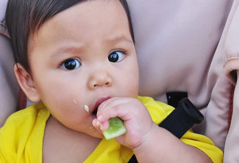 Giving Cucumber to Babies - Is It Safe?