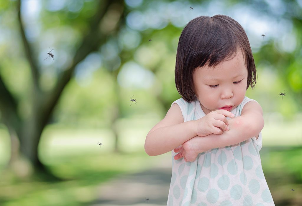 Dengue in Babies and Toddlers