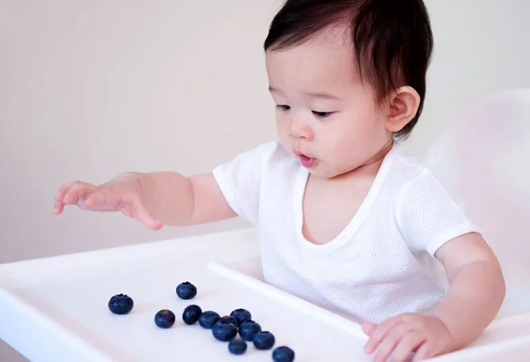 Blueberries for Babies - Benefits, Risks, and Recipes