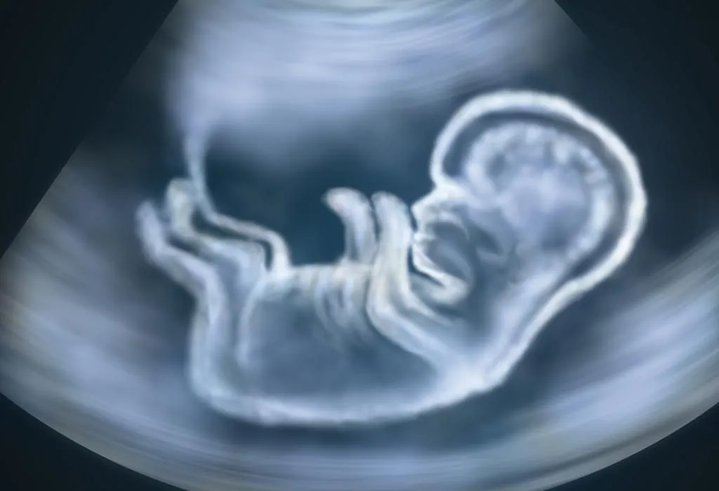 Foetal Development