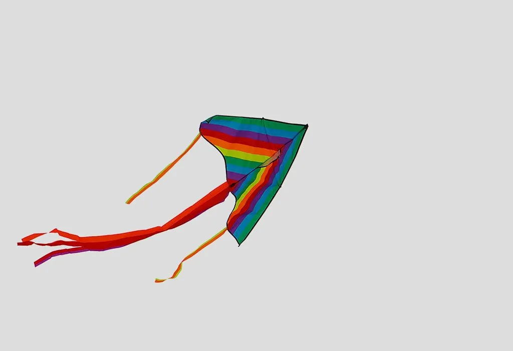 Bring Out The Kites for Sankranti