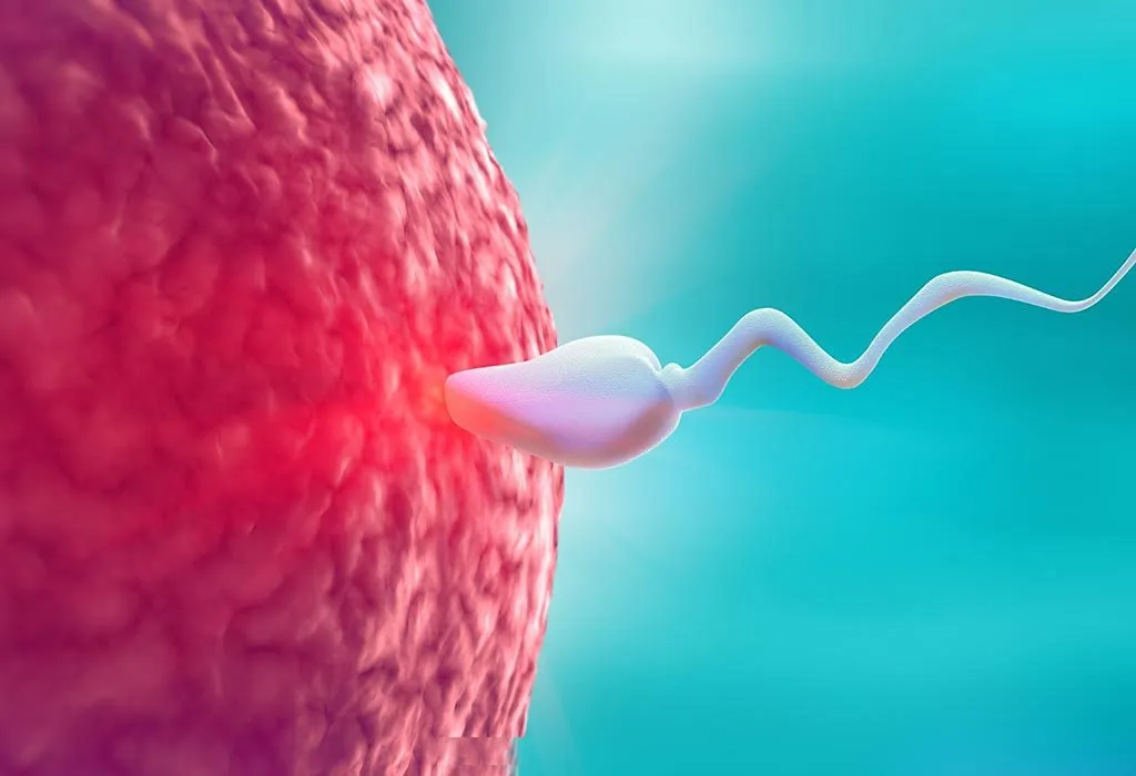 How is Low Sperm Motility Diagnosed?