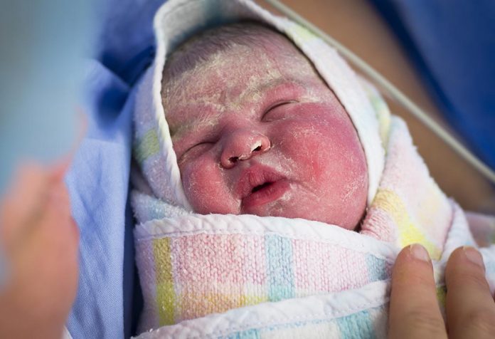 A newborn's face covered with Vernix Caseosa