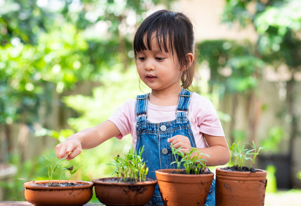 Plant A Tree in Your Backyard