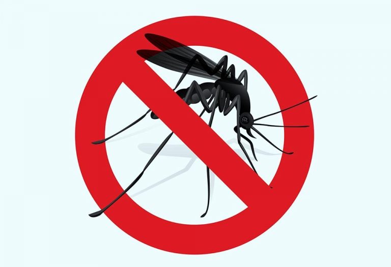 Natural Insect & Mosquito Repellents for Infants